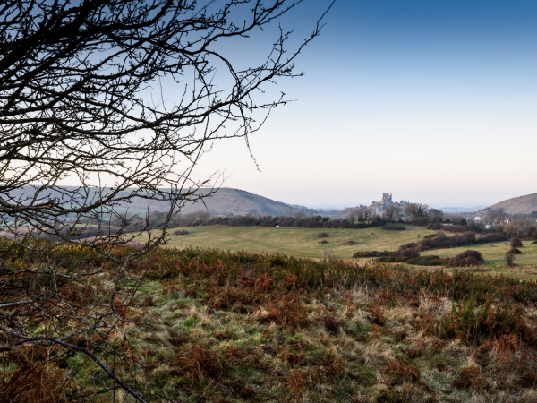 Festival of Archaeology: Guided Walk - The Rings and Corfe Common