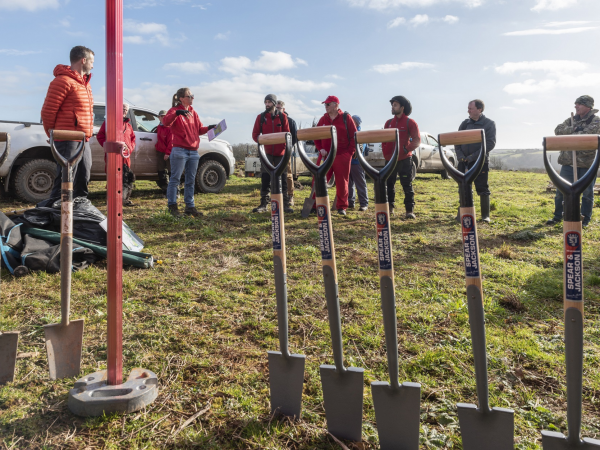 Tree Planting at Wembury Community Woodland