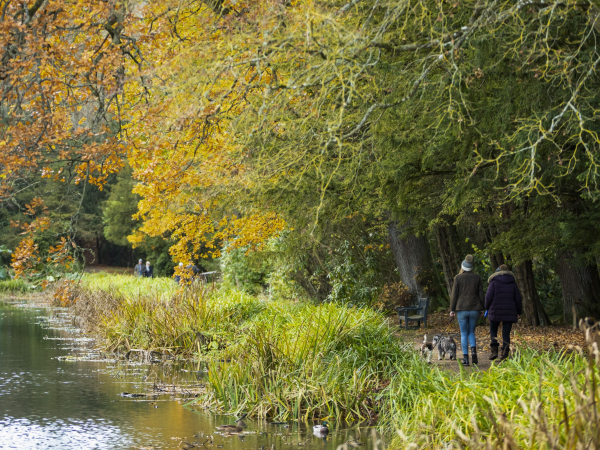 Guided walk: Wannie Line