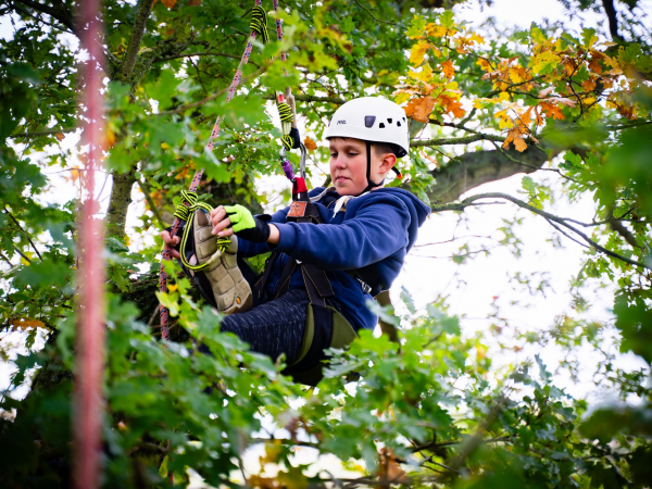 Clumber Park Great Big Tree Climbing