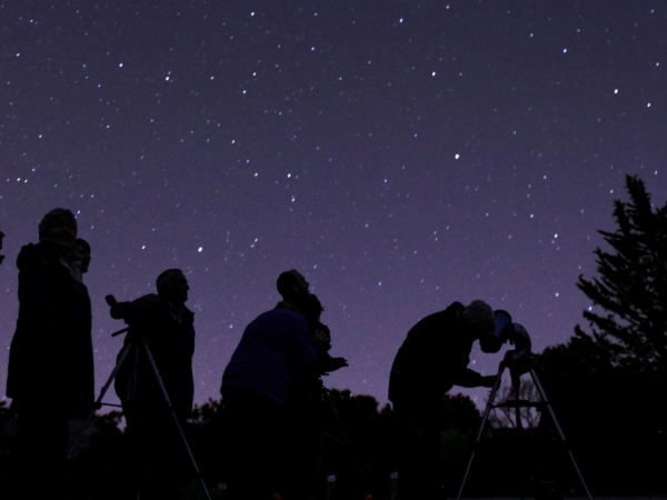 Stargazing in the Meadow