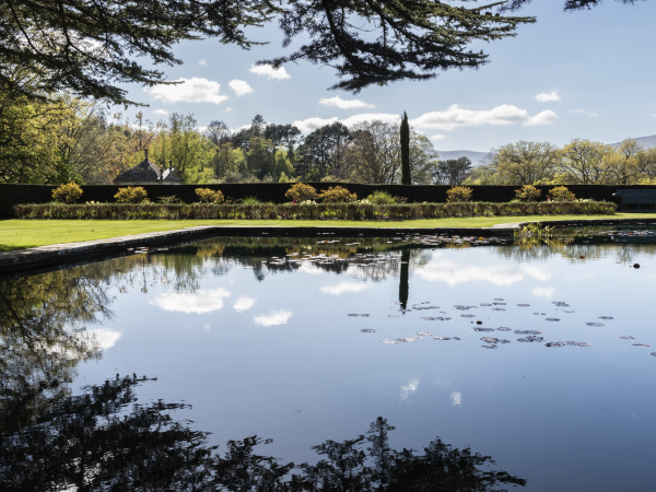 Taith gyda’r Prif Arddwr | Tour with the Head Gardener