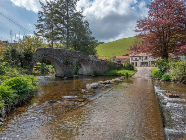 North Devon Walking Festival: Southern Wood Walk
