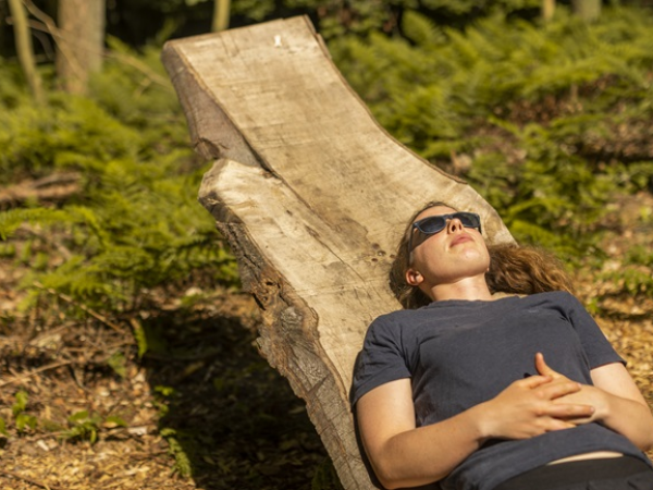 Forest bathing at Dyffryn Gardens (Into the Canopies)