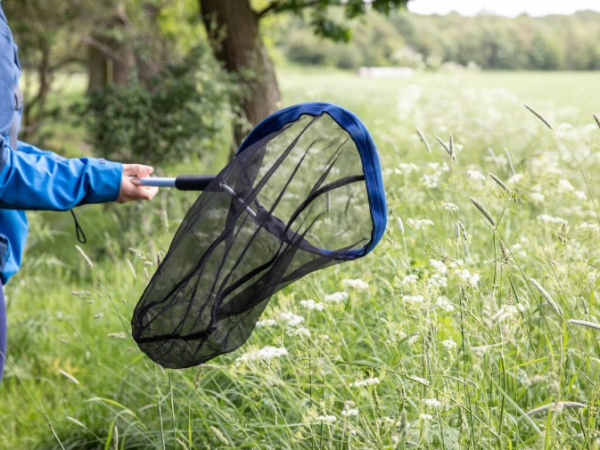 Bug Hunting with Abi Young, Sun 21 June, 11am-12.30pm