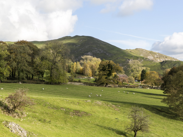 Ilam Park: Guided Walk: Geology and Archaeology in the landscape