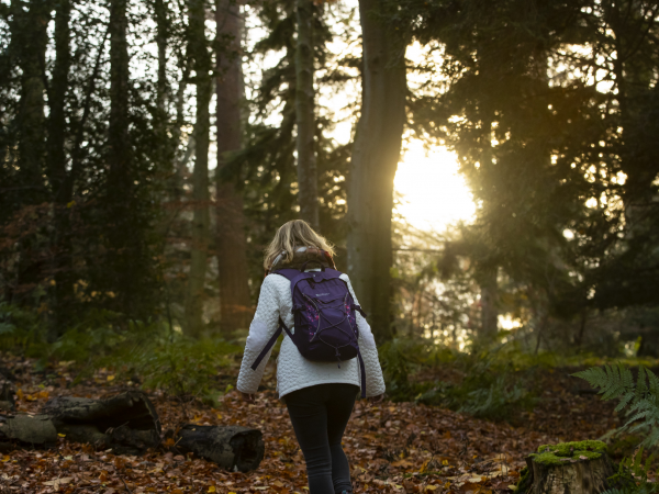Guided walk: Greenleighton Moor