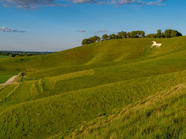 8 mile White Horse Hill to Ashdown loop guided walk