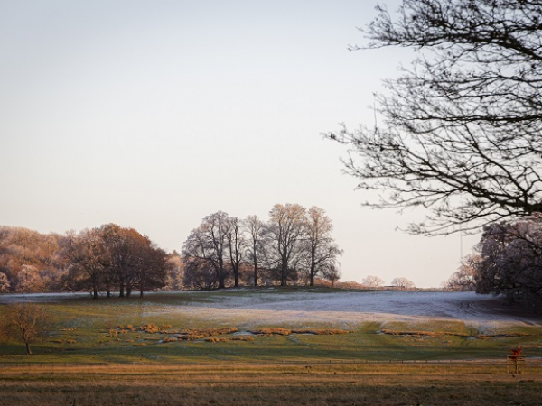 Londonthorpe Village guided walk