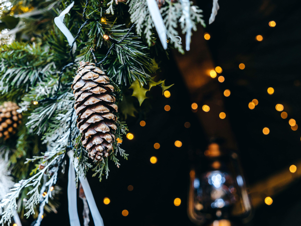 Meet Father Christmas in his Festive Rock Dwelling