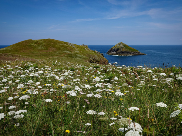 Printmaking workshop at Pentire