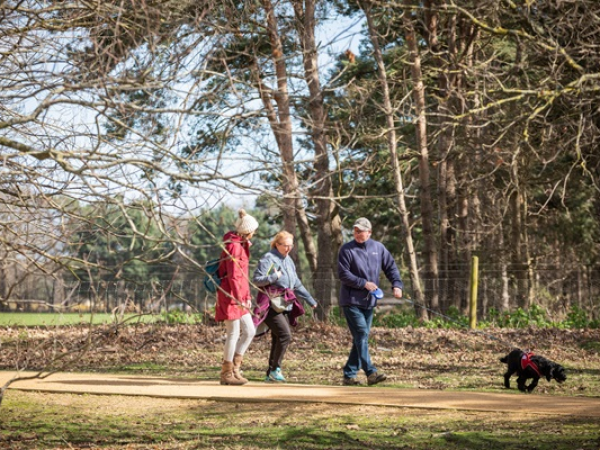 Wellbeing Walks at Sutton Hoo