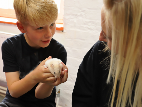 ZooLab encounters: Session five – Rainforest adventure
