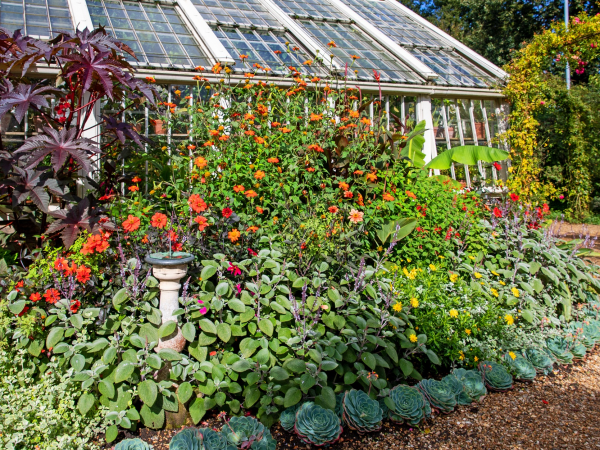 Garden Maintenance Volunteer Taster Session
