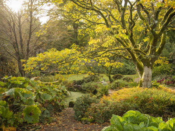 Dear Future: I Leave This Place For You - 16 May - Rowallane Garden