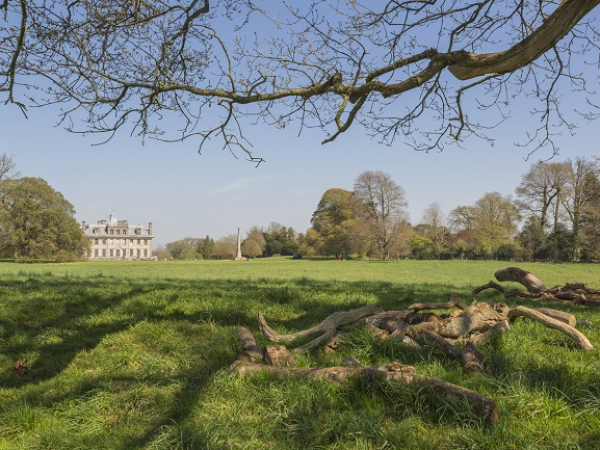 Estate Walk: Holt Forest