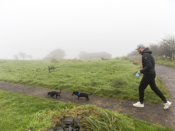Doggy Ranger Walk