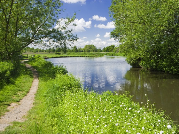 Ripley and Ockham Mill walk