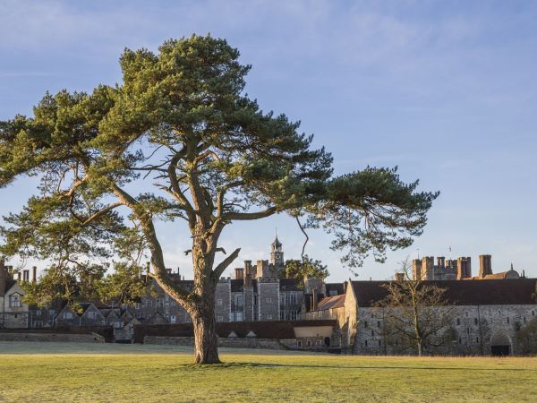 Great Big Green Week: Park walk and litter pick