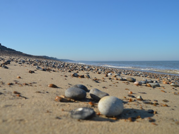 Close-Up photography workshop at Dunwich Heath and Beach