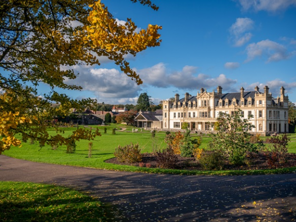 Feelgood felting workshop at Dyffryn Gardens
