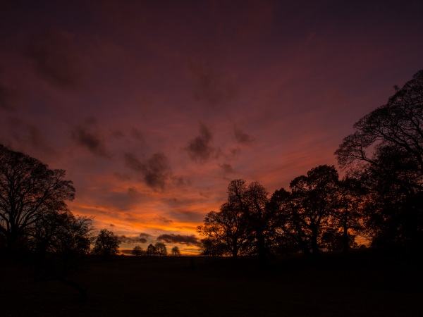Twilight walk at Calke Abbey