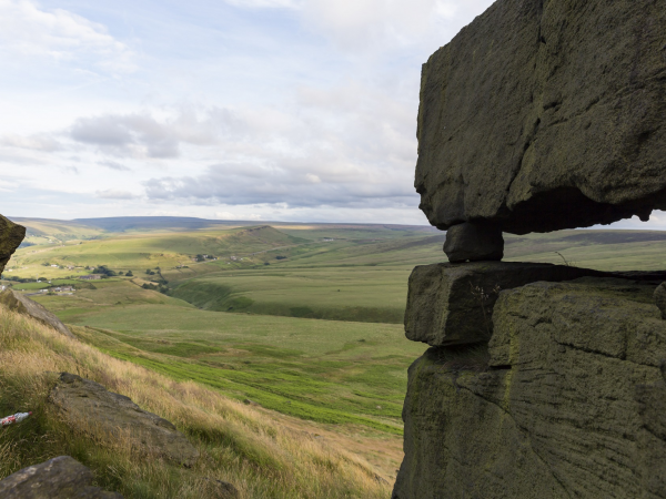 Explorers walk: sheep shearing