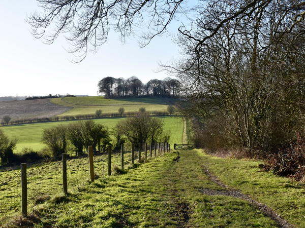 Wider Estate walks