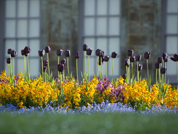Spring Garden Tour and Afternoon Tea with the Head Gardener