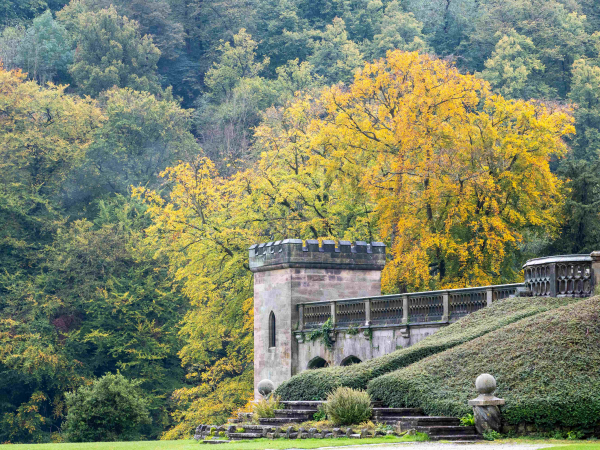 Ilam Park: Tales at Twilight Guided Walk