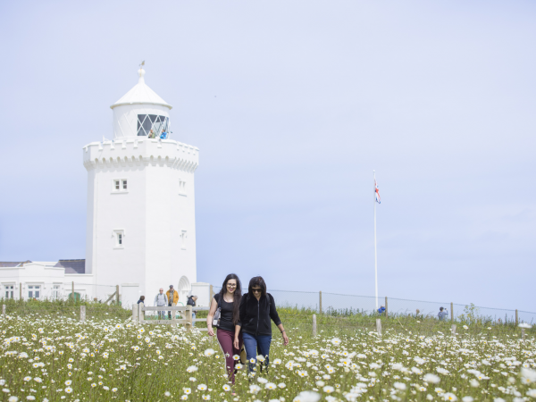 Guided walk: Folklore, Wildlife and Medicinal uses of Chalk Downland Plants