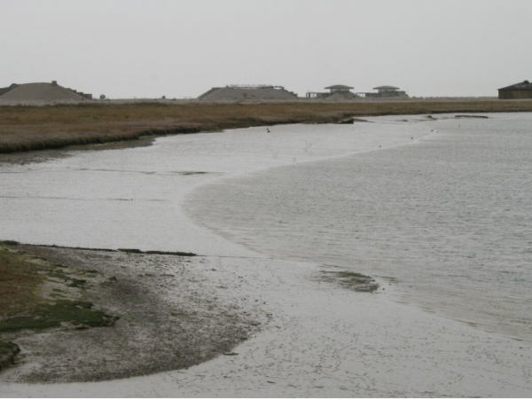 Walk with Us on Orford Ness