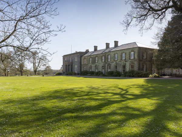 Guided wider estate walks -  a moment of calm