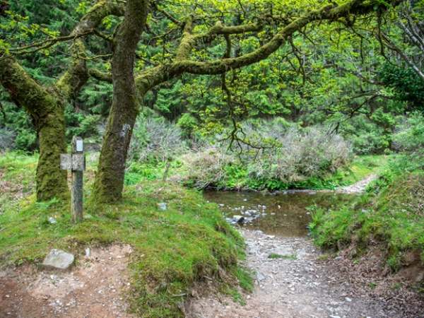 Forest school at Lorna Doone