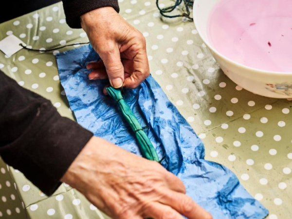 Botanical Dyeing Workshop