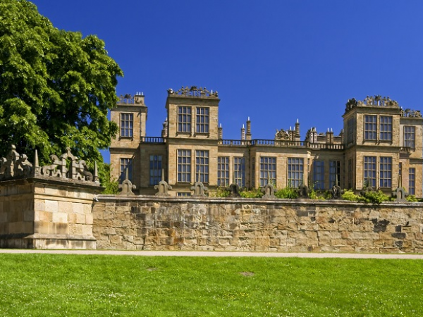 Guided by Nature: Dawn Chorus Walk - Hardwick