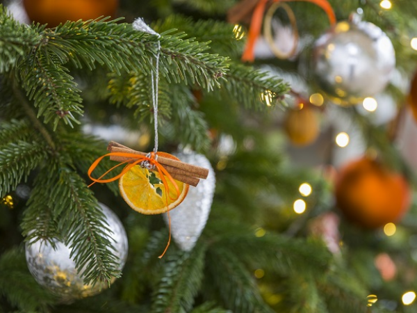 Father Christmas at Trerice