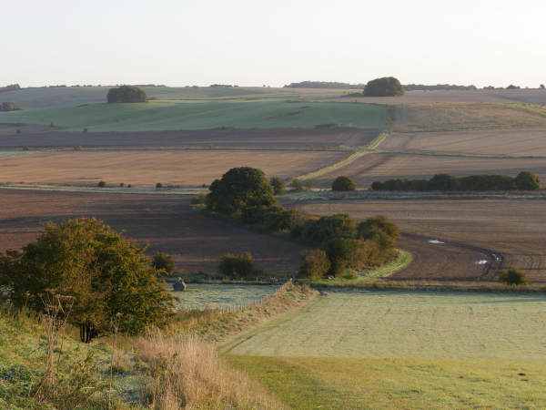 Guided landscape walk: Waden Hill circuit