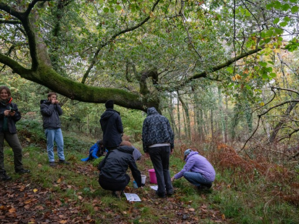 How to Grow Arcadia: An Introduction to Forest Gardening