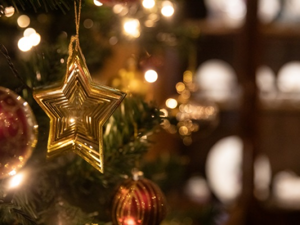 The Peckover Christmas Fairy