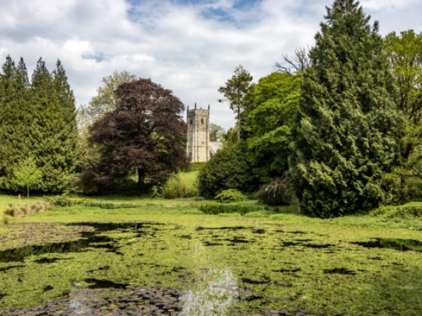 Guided wider estate walk - Silence Walk