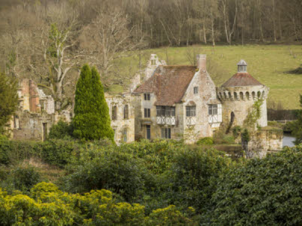Outdoor Theatre- Peter Rabbit