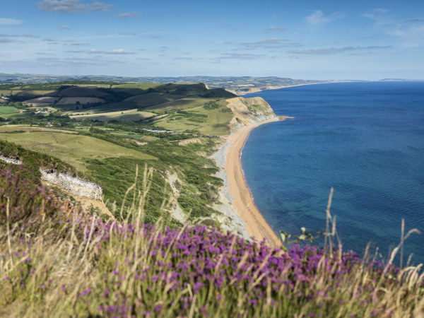Looking at our changing coastline - Hive Beach to Cogden