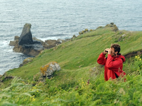 Chough walk