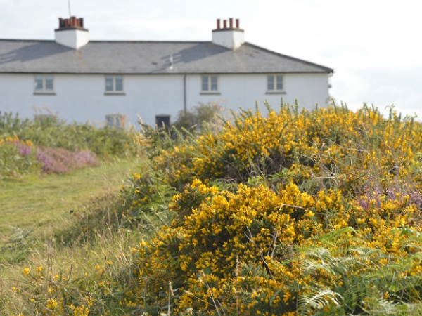 Landscape & Close-up Photography Workshops (combined) at Dunwich Heath and Beach