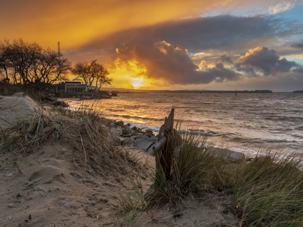 Dusk Calls at Studland - A Walk into the Night