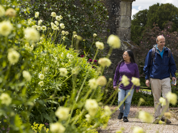 Wildflower Wonder at Buckland Abbey