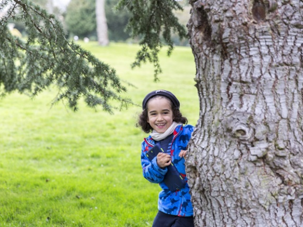 Big Tree Climbing - Belton Estate