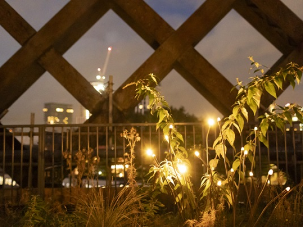 Wednesday at 1: Transition Manchester with Not Quite Light