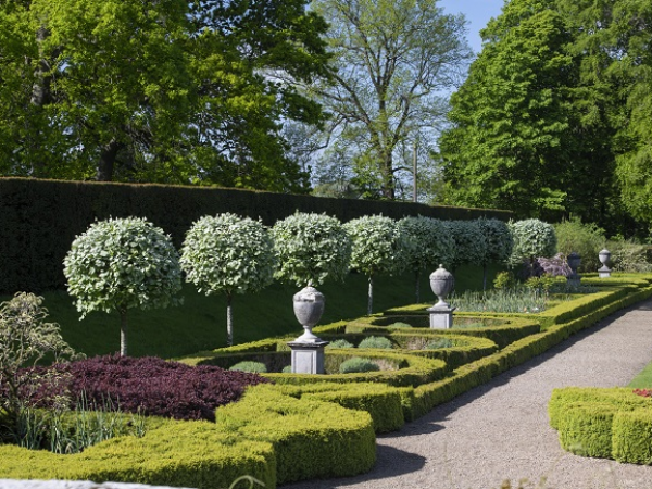 Holywell: Delaval Discoveries Wider Estate Walk